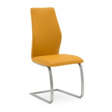 Irma Pumpkin Dining Chair Irma Pumpkin Dining Chair