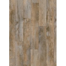 Roots in Country Oak 24958