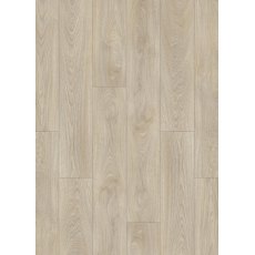 Roots in Laurel Oak 51222