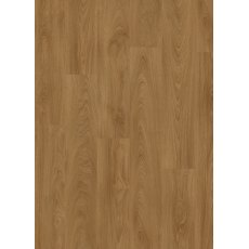 Roots in Laurel Oak 51822