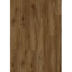 Roots in Sierra Oak 58876