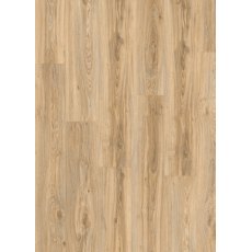 Roots in Blackjack Oak 22220 Roots in Blackjack Oak 22220