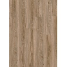 Roots in Blackjack Oak 22229