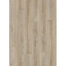 Roots in Blackjack Oak 22246