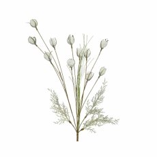 White Bunch on Stem