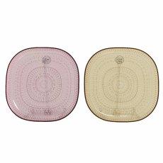 Plastic Plate
