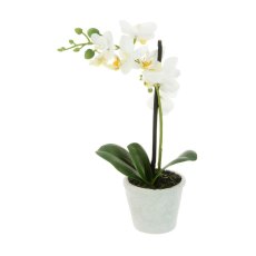 Floralsilk White Phalaenopsis in Pot Floralsilk White Phalaenopsis in Pot