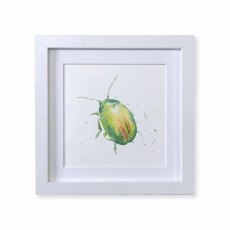 Kate Of Kensington Tansy Beetle Framed 8' Print Kate Of Kensington Tansy Beetle Framed 8' Print