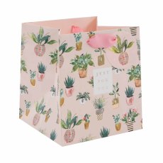 Glick beautiful plants giftbag