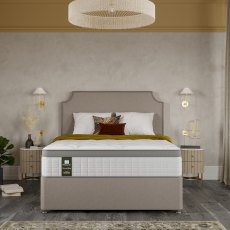 Sealy Elevate Ultra Thornton Divan Set Sealy Elevate Ultra Thornton Divan Set