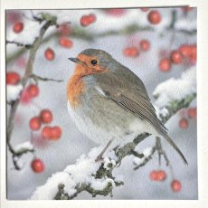 Paper House Robins on Holly Pack Cards Paper House Robins on Holly Pack Cards