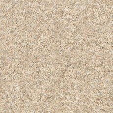 Altitude Heathers In Herb Garden Carpet