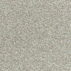 Arena Plus In Platinum Carpet Arena Plus In Platinum Carpet