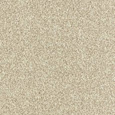 Arena Plus In Stone Carpet Arena Plus In Stone Carpet