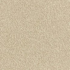 Arena Plus In Taupe Carpet