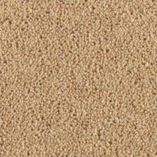 Carlton Twist In Almond Carpet