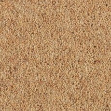 Carlton Twist In Arrowroot Carpet