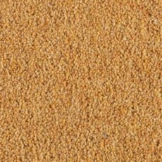 Carlton Twist In Cornhusk Carpet Carlton Twist In Cornhusk Carpet