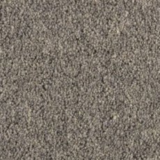 Carlton Twist In Moonshadow Carpet