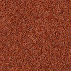 Carlton Twist In Sienna Carpet Carlton Twist In Sienna Carpet