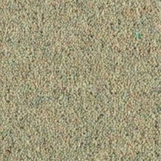 Carlton Twist In Spearmint Carpet