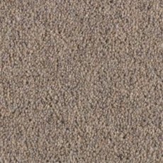 Carlton Twist In Squirrel Carpet Carlton Twist In Squirrel Carpet