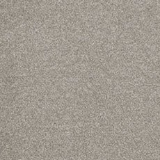 Cassius In Duante Carpet Cassius In Duante Carpet