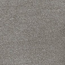 Cassius In Kale Carpet