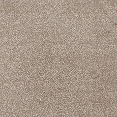 Cassius In Soya Carpet Cassius In Soya Carpet