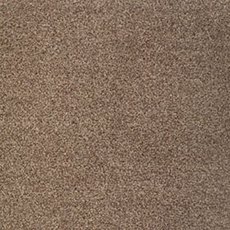 Cassius In Stevia Carpet