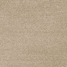 Cassius In Temple Carpet Cassius In Temple Carpet