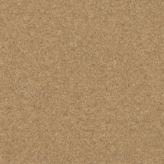 Claxton In Caramel Carpet Claxton In Caramel Carpet