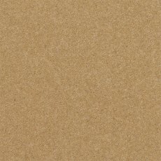 Claxton In Chickpea Carpet Claxton In Chickpea Carpet