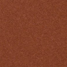 Claxton In Fired Teracota Carpet