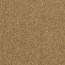 Claxton In Golden Haze Carpet Claxton In Golden Haze Carpet