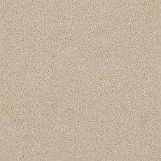 Claxton In Mink Carpet