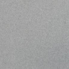 Claxton In Silver Carpet