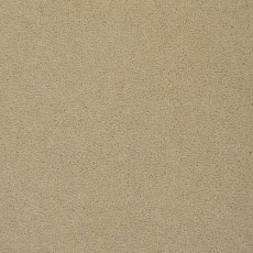 Colorado In Longmount Carpet