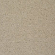 Colorado In Palisade Carpet