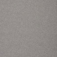 Colorado In Ridgway Carpet