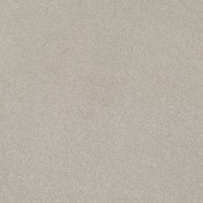 Day Dreams In Blush Carpet