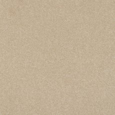 Day Dreams In Clean Cut Carpet