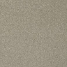 Day Dreams In Close Shave Carpet Day Dreams In Close Shave Carpet