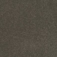 Day Dreams In Confident Carpet