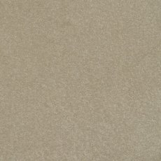 Day Dreams In Day Dreamer Carpet