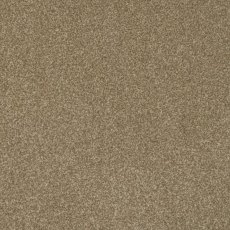 Day Dreams In Fresh Carpet