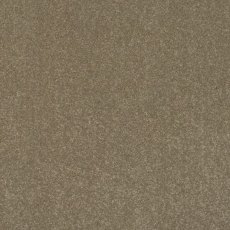 Day Dreams In Neat N Tidy Carpet Day Dreams In Neat N Tidy Carpet