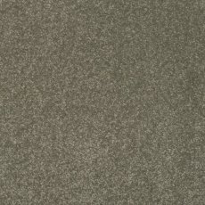 Day Dreams In Quality Carpet