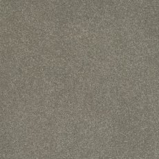 Day Dreams In Well Dressed Carpet