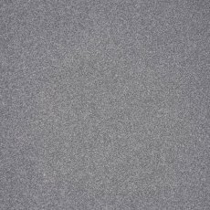 Elegance In Conquistador Carpet Elegance In Conquistador Carpet